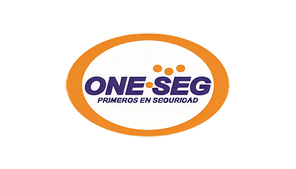 oneseg